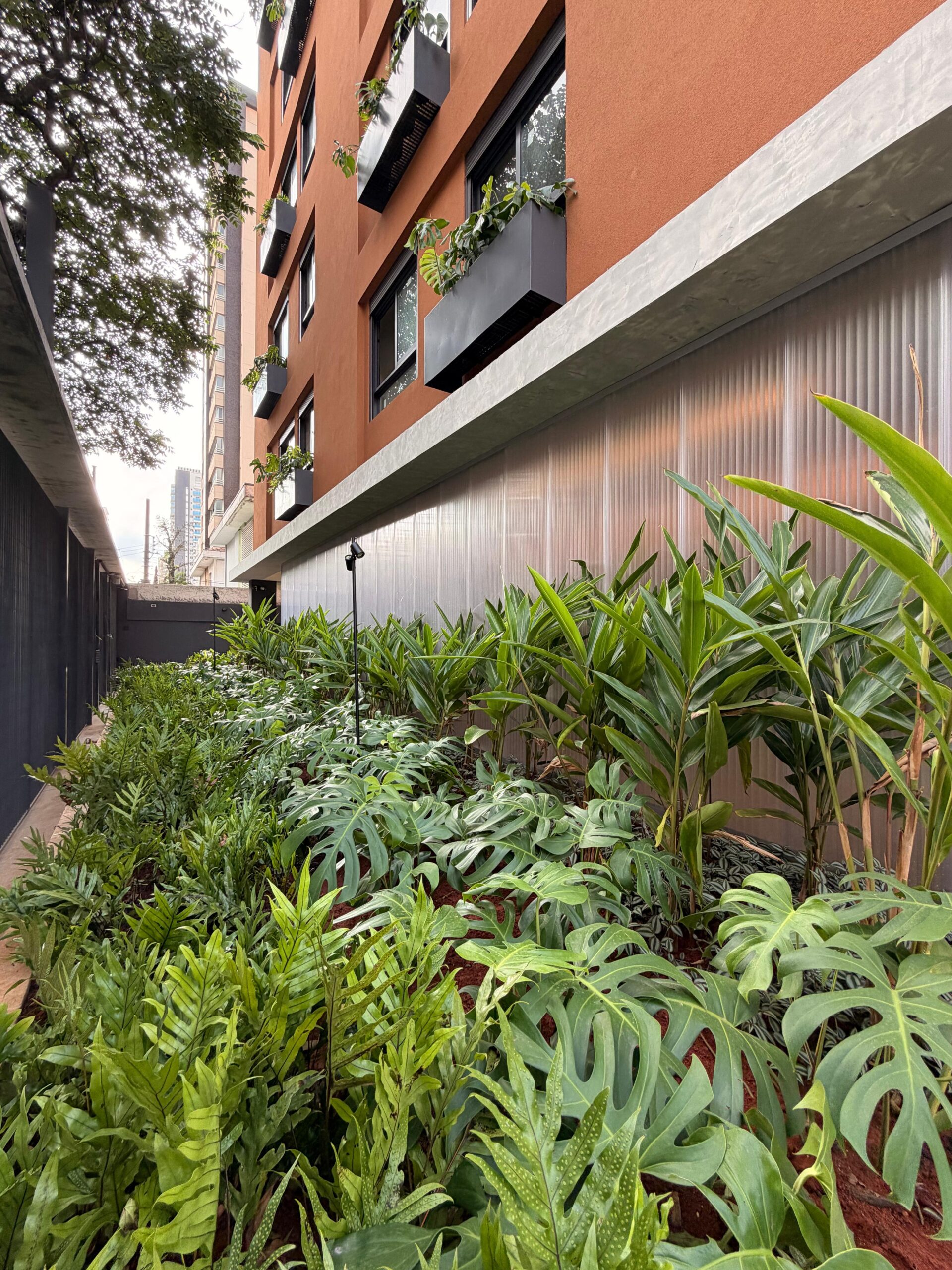 Jardim do Edifício Corina com monstera e samambaias